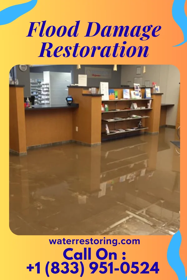 Flood Damage Restoration in Springfield, KY