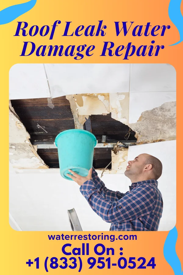 Roof Leak Water Damage Repair in Springfield, KY