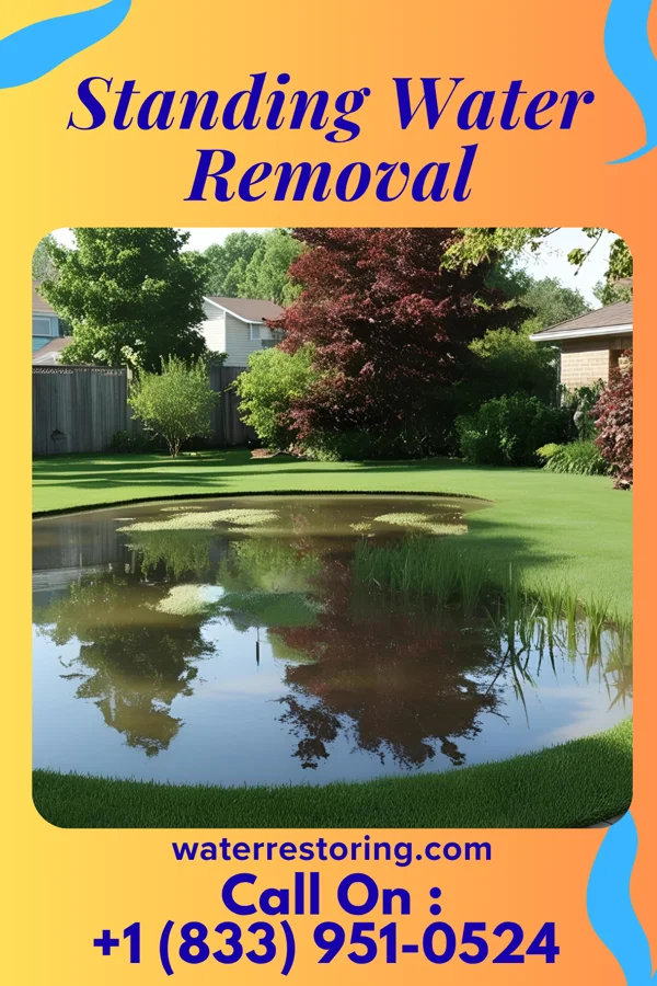 Standing Water Removal in Springfield, KY